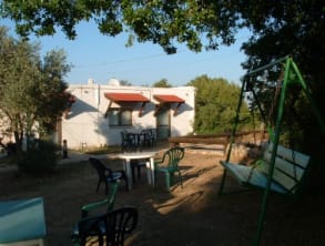בית%20ספר%20שדה%20הר%20מירון%20,%20מירון